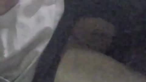 lovegirlscallme online show from 09.09.25