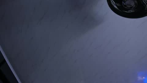     online show from 04.29.26