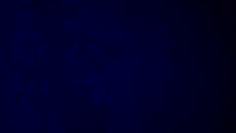 elen06 online show from 12.16.25