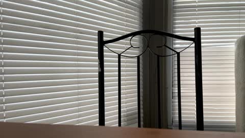 Snapshot of glazehoney chatting on 01.10.25 glazehoney online show from 01.10.25