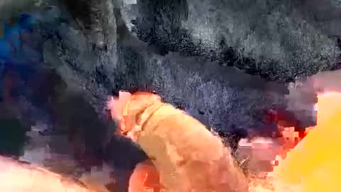 Gman online show from 12.30.24