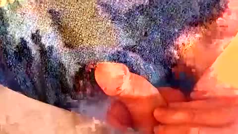 Gman online show from 03.02.25