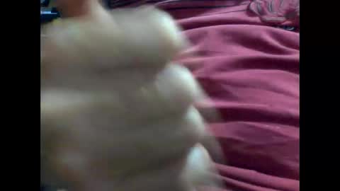 PencilDick online show from 02.09.25