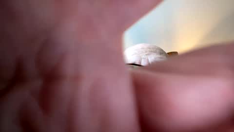 gngnxxx online show from 10.07.25