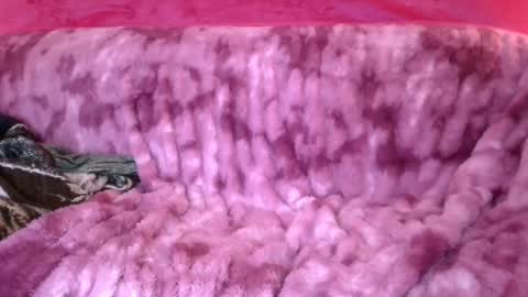 Snapshot of goddess_aaliyah chatting on 12.30.24 goddess_aaliyah online show from 12.30.24