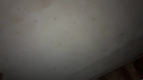 godseekingatheist online show from 11.09.25