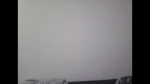 gohan8558 online show from 03.02.25