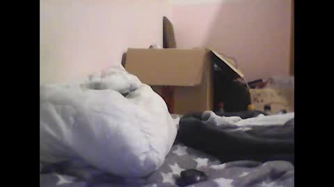 gohan8558 online show from 11.09.25