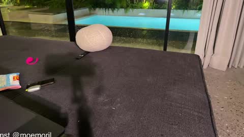 Aline meow   online show from 02.22.26