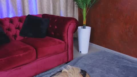 Snapshot of goldenamberx chatting on 01.29.25 GoldenAmberX online show from 01.29.25