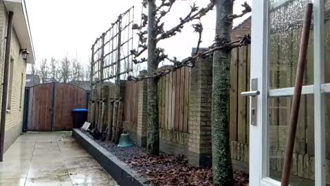 Snapshot of goldenelixxxir chatting on 12.23.24   online show from 12.23.24