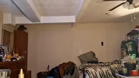 Snapshot of gonr369 chatting on 02.17.26 gonr369 online show from 02.17.26