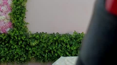 Mi Name is violeta  online show from 03.01.25