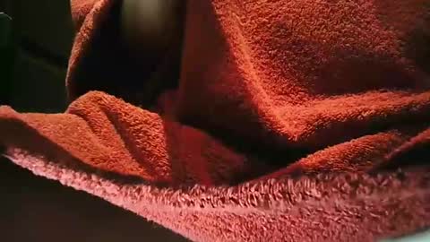 Snapshot of grapefruit chatting on 03.01.25 grapefruit online show from 03.01.25