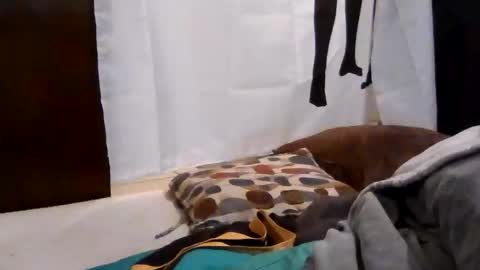 Get US to 1000 you wont be disapointed online show from 12.18.25