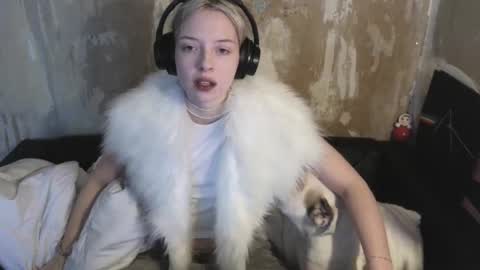 graylovescookies online show from 12.19.24