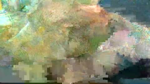 greatbiggs6969 online show from 01.02.25