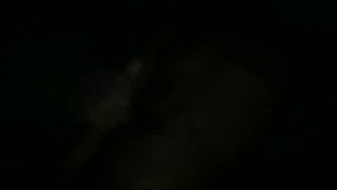 Sonny online show from 10.11.25