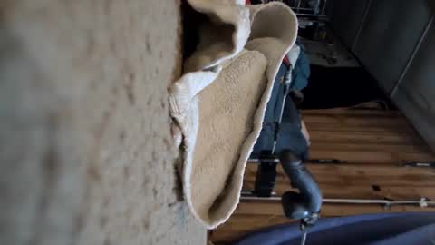 electrogee1 online show from 03.15.26