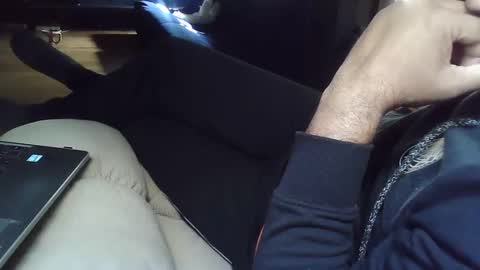 Grey Stud online show from 01.08.25