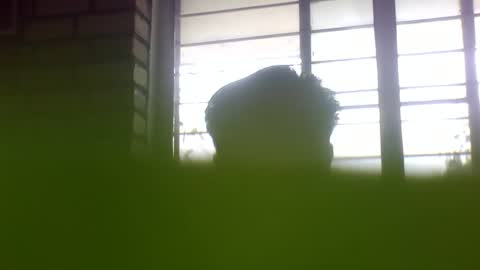 Grey Stud online show from 01.24.25