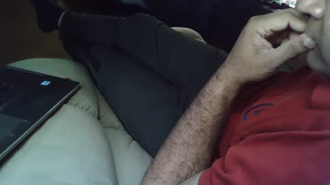 Grey Stud online show from 02.19.25