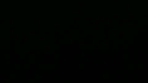 Snapshot of greyfox_6000 chatting on 02.25.25 greyfox_6000 online show from 02.25.25