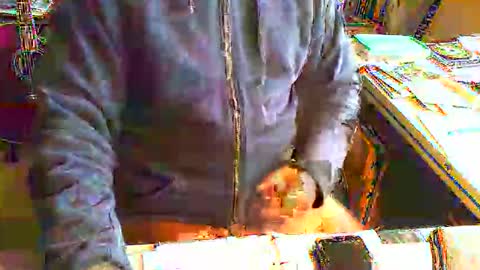 greyhounddog online show from 06.11.26