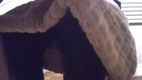 grower2153 online show from 11.24.25