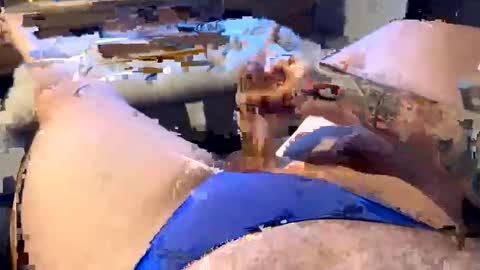 gt79802068 online show from 01.11.26