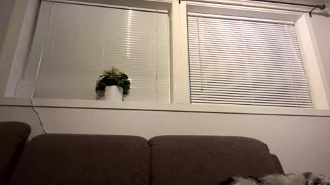 scandixxxs Cam online show from 10.20.25