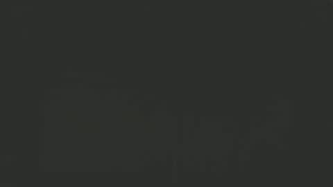 Snapshot of guitarsexgod chatting on 02.20.25 Mario online show from 02.20.25