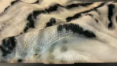 gumbywanna online show from 11.26.25