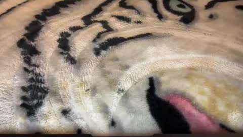 gumbywanna online show from 03.02.26