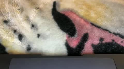 gumbywanna online show from 03.09.26