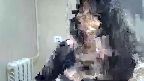 Snapshot of gusumah chatting on 02.22.25 GusumAh online show from 02.22.25