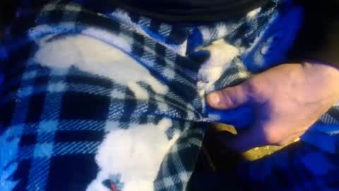 Snapshot of h2omygod chatting on 01.17.25 H2omygod online show from 01.17.25