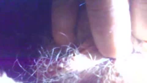 hagridthehorrible online show from 11.01.25