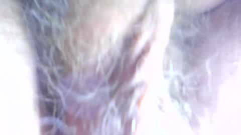 hagridthehorrible online show from 04.07.26