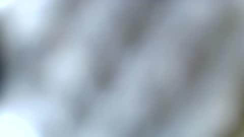 tatted blonde online show from 12.23.25