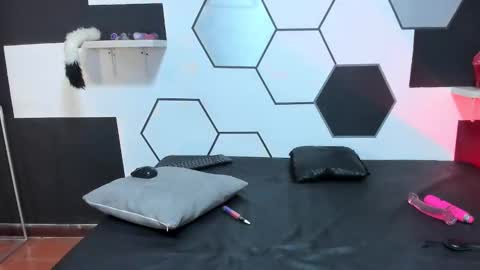 haileycat_ online show from 12.21.24