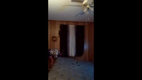 hailstorm32 online show from 02.24.26