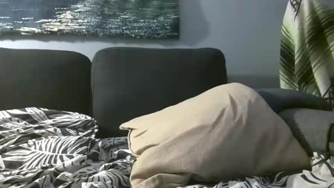 Hairiest Bear online show from 12.14.24