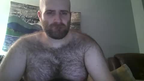 Hairiest Bear online show from 02.17.25