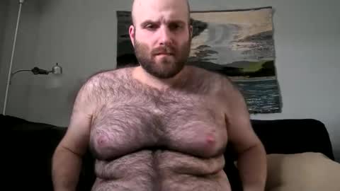 Hairiest Bear online show from 02.17.25