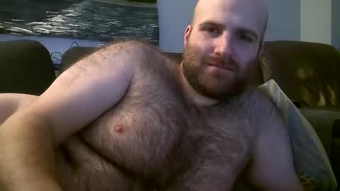 Hairiest Bear online show from 02.18.25