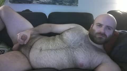 Hairiest Bear online show from 03.08.26