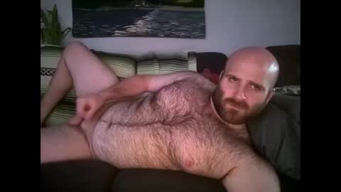Hairiest Bear online show from 04.22.26