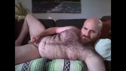 Hairiest Bear online show from 05.13.26