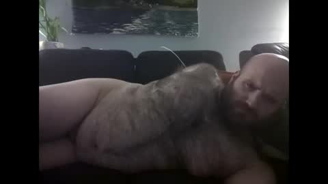 Hairiest Bear online show from 06.02.26